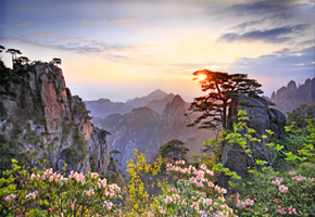 旅游,黃山,管理,景區(qū),保護(hù)
